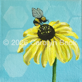 Bumble on Black-Eyed Susan