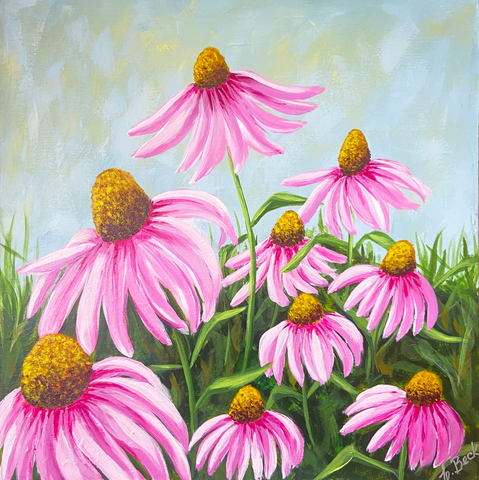 Echinacea