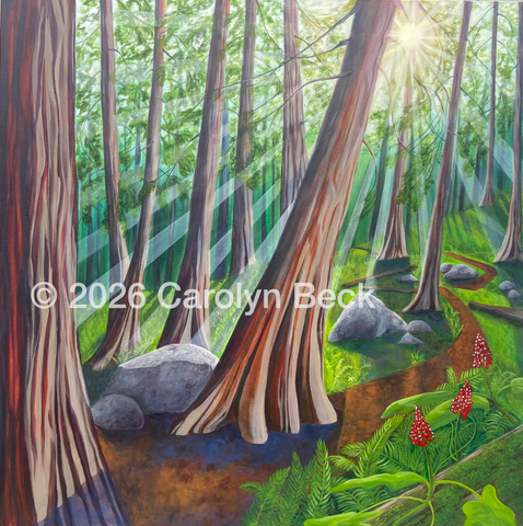 Ancient Cedars