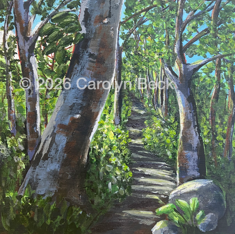 Forest Trail
